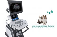 寵物四維彩超機在寵物醫院如何臨床使用